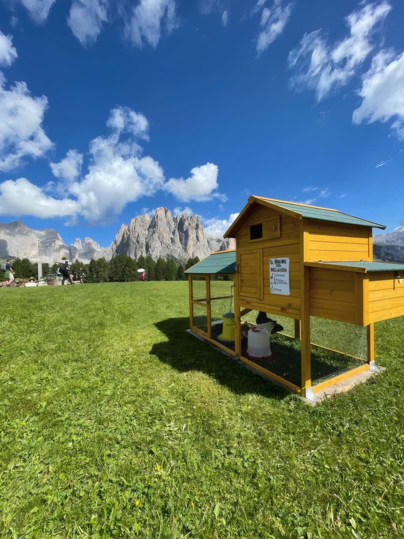 Campi e natura
